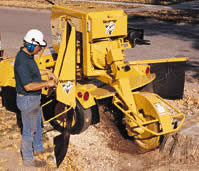 Wurzelstock Wurzelstockfräsen